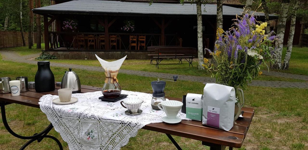 Maciejowka Borki 33 Villa Bagian luar foto
