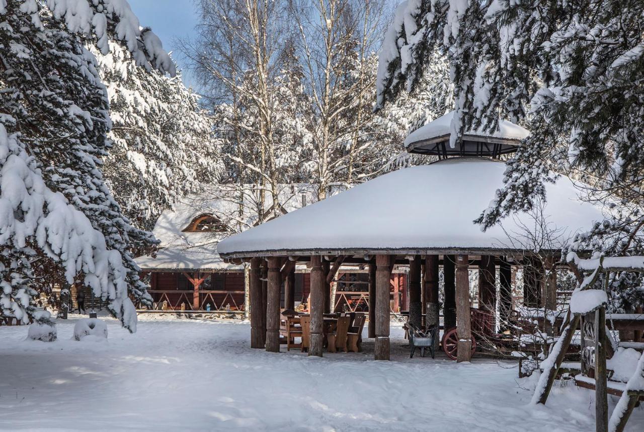 Maciejowka Borki 33 Villa Bagian luar foto