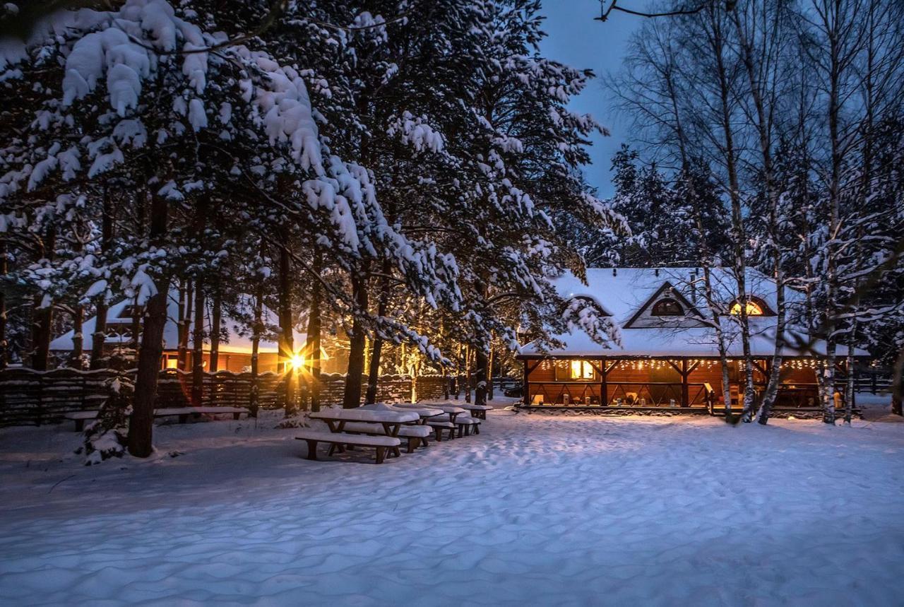 Maciejowka Borki 33 Villa Bagian luar foto