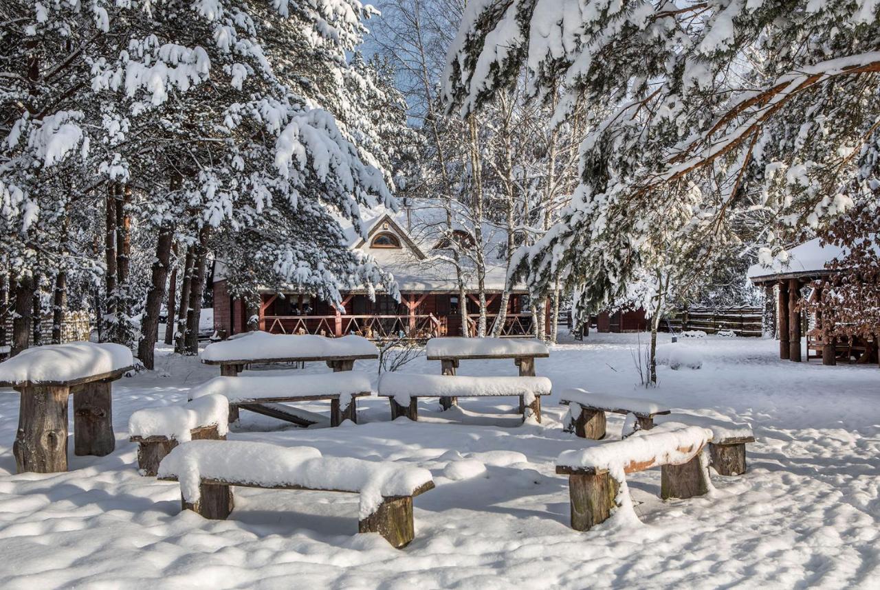 Maciejowka Borki 33 Villa Bagian luar foto
